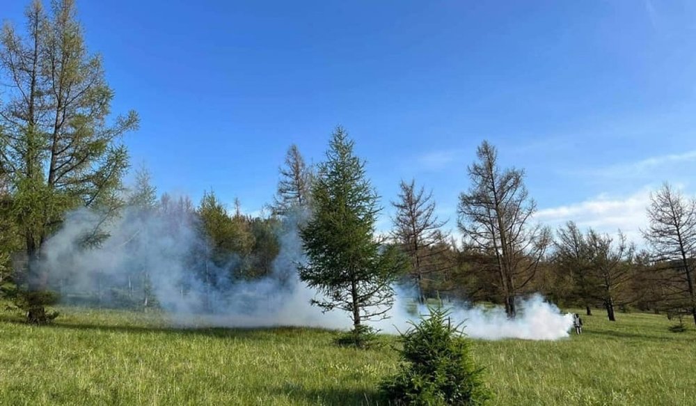 Богдхан уулын Өвгөний аманд 157 га талбайд хортон шавьж устгалын ажил ...